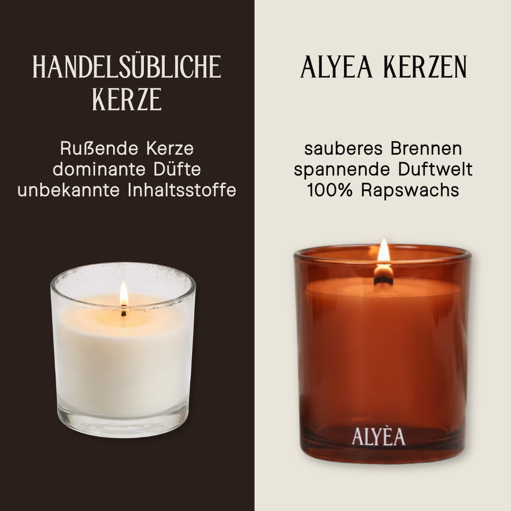 Duftkerze Spruce and Pine