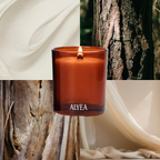 Duftkerze Lime and Sandalwood