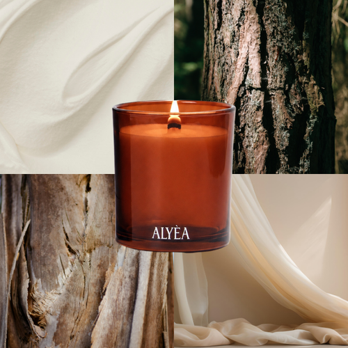 Duftkerze Lime and Sandalwood
