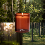 Duftkerze Spruce and Pine