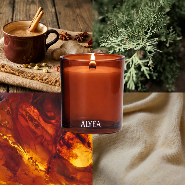Duftkerze White Cedar and Amber